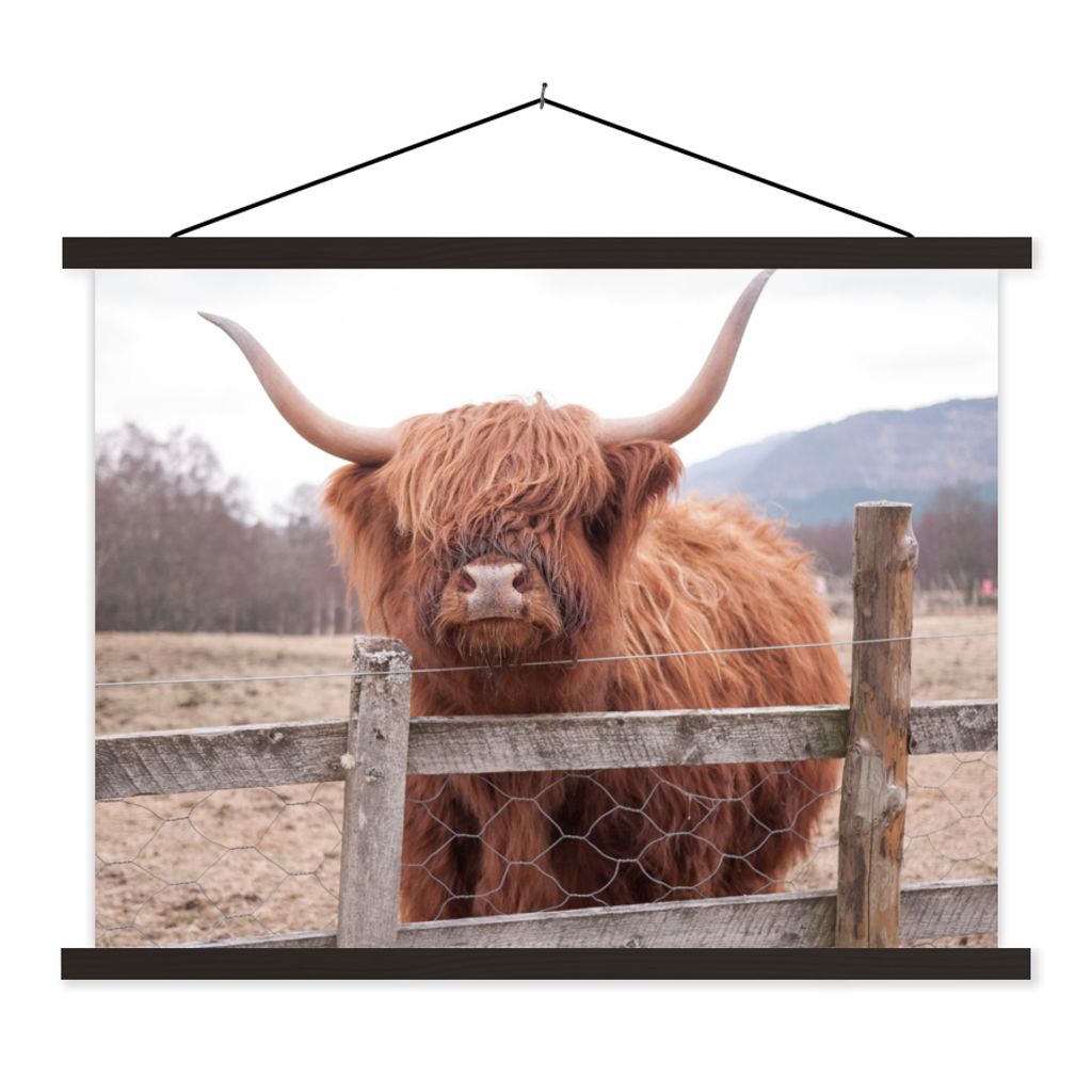 MuchoWow Textilposter Scottish Highlander - Gras - Zaun 150x113 cm mit schwarzem Rahmen - Wohnzimmer