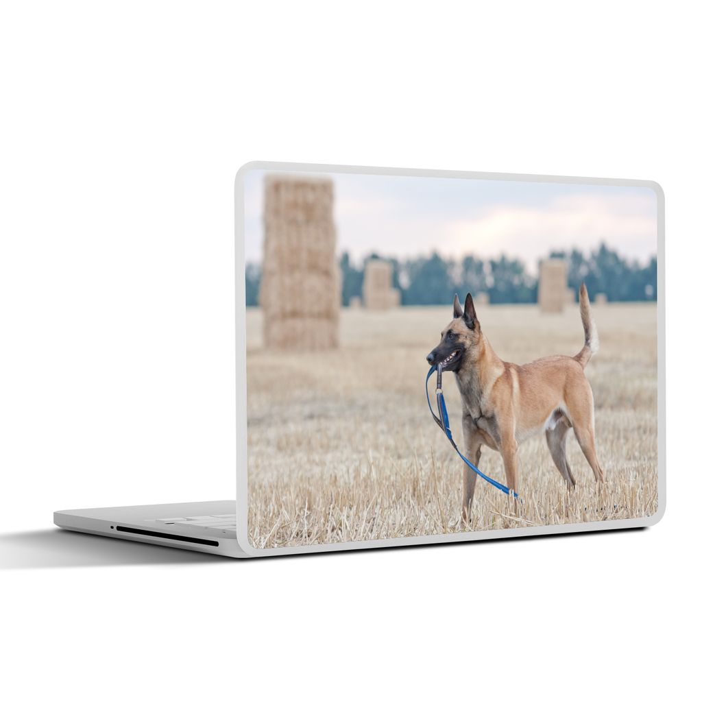 MuchoWow Laptop Aufkleber Sticker Cover Ein Malinois-Schäferhund zwischen den Heuballen auf einer Wiese 36.5x27.5 cm - Laptop-Sticker