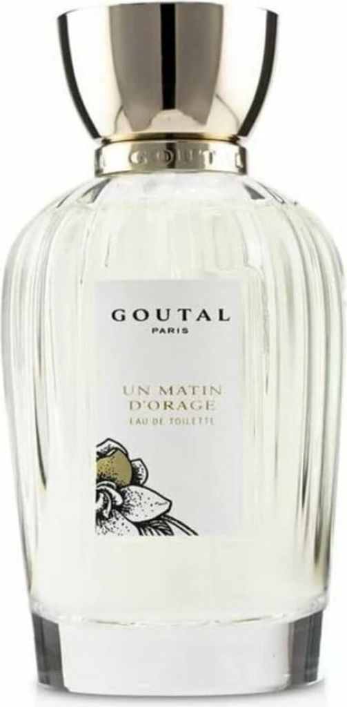 Un Matin D'Orage Eau De Toilette Spray 100ML Image du produit 