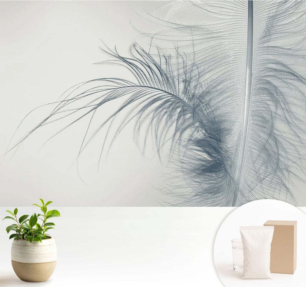Fototapete - 104x70 cm - Tapete - Wandtapete - Wandbilder - Dekofolie - Tapete Folie - Wand - Dekoration - Wohnzimmer - Zarte Feder