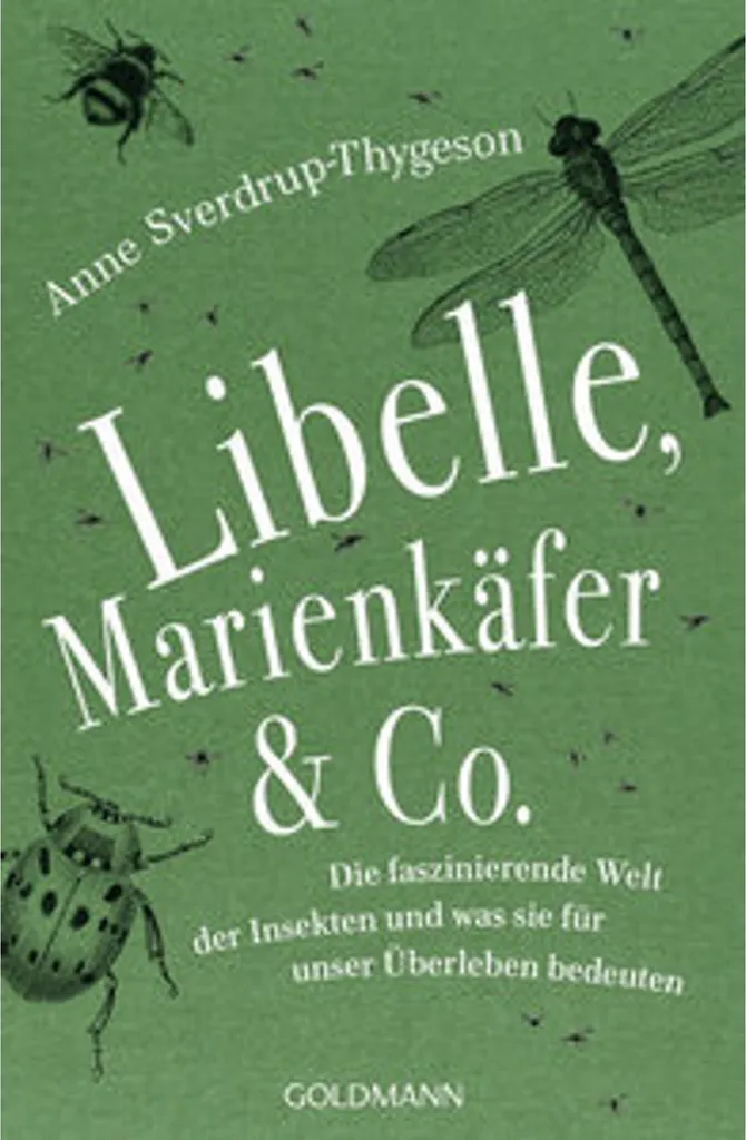 Figurines d'insectes Libelle Marienkäfer & Co avec finitions colorées