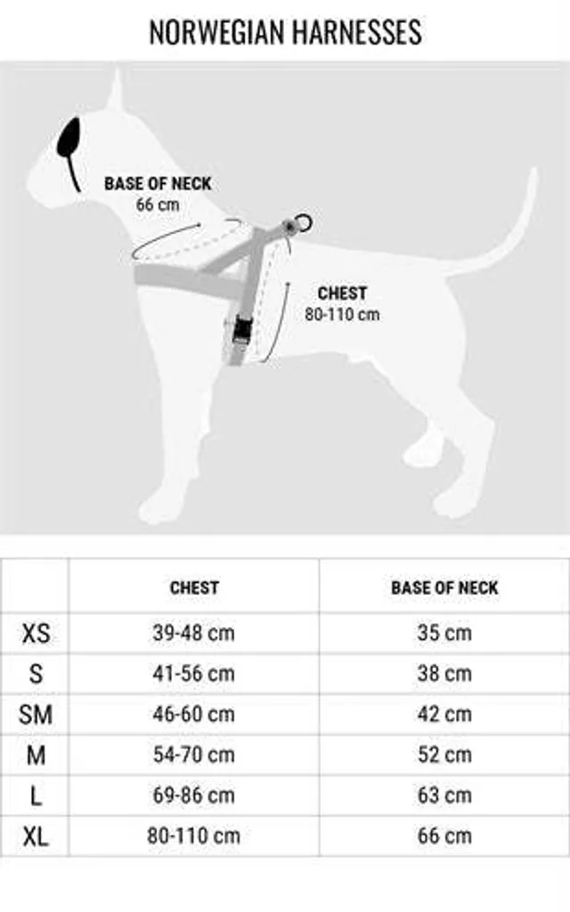 Morso Norvegese Harder Leo Pink | Pettorina Alta Resistenza Riciclata - 3