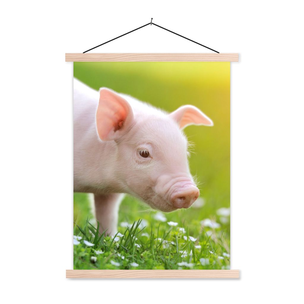 MuchoWow Textilposter Tiere - Ferkel - Schwein 120x160 cm mit holzfarbenen Rahmen - Plakatkarton