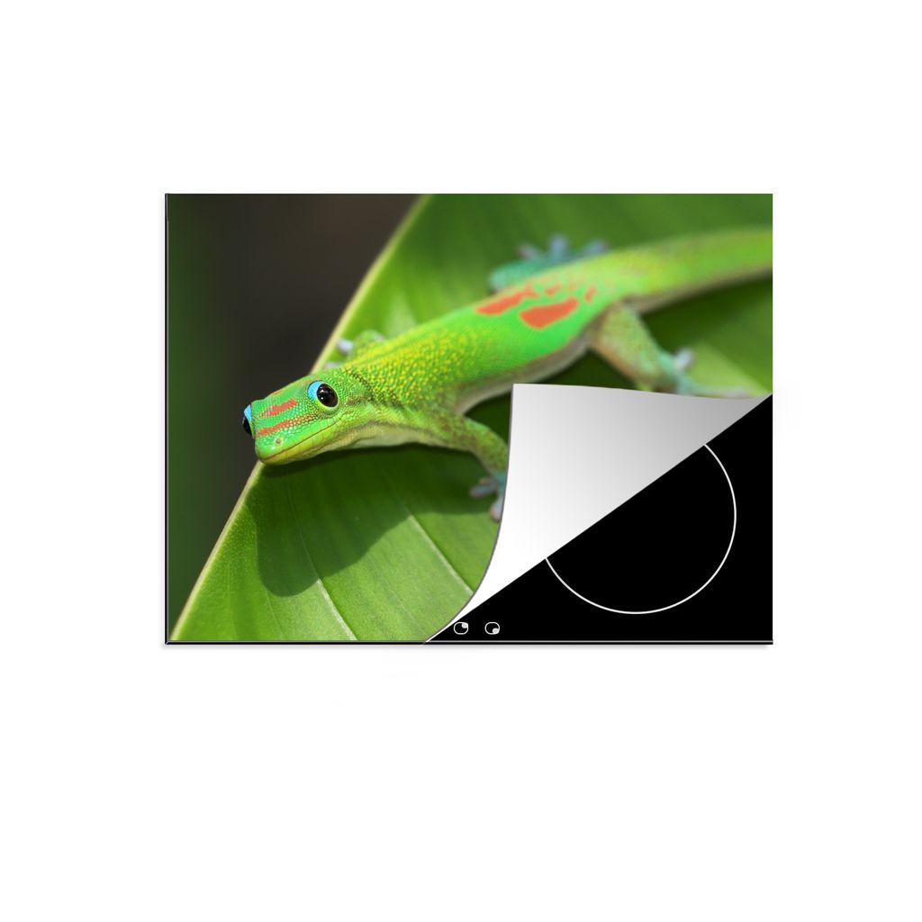KitchenYeah Herdabdeckplatte Grüner Gecko auf einem Seerosenblatt , 75x52cm, Küche Deko, Glaskeramikkochfeld Herdabdeckung, Abdeckplatte fùr K...
