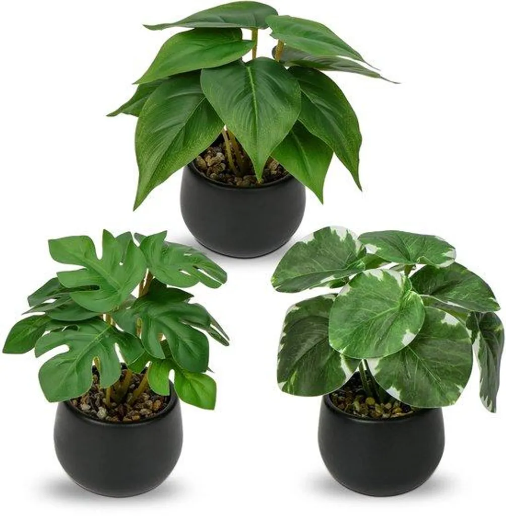 Lot de 3 fleurs artificielles réalistes avec plat en céramique noir 15cm