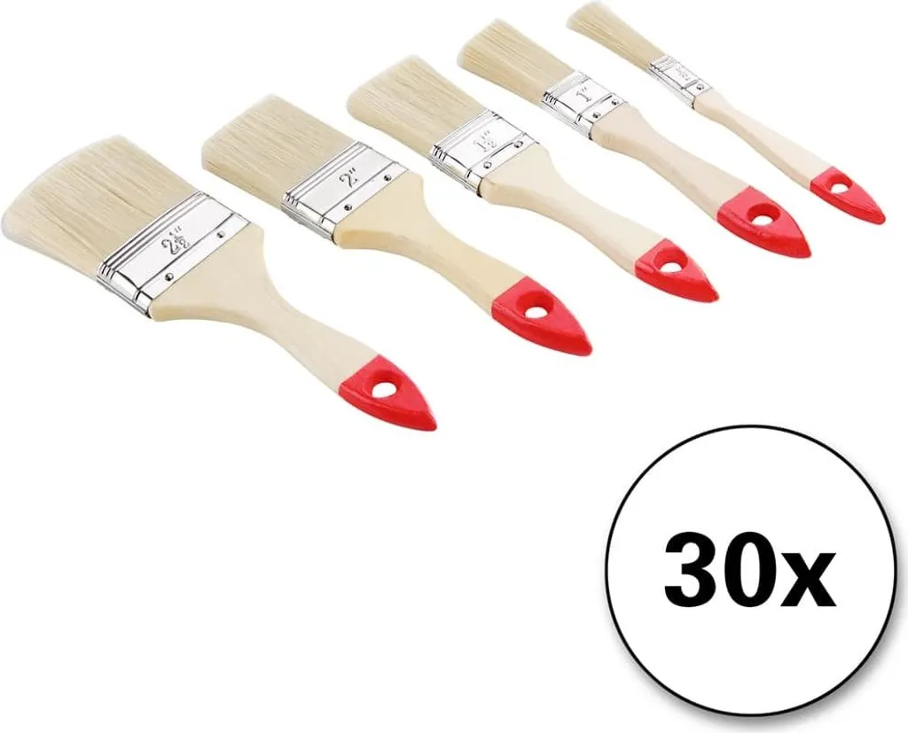 Pinceaux 30 pièces 5 tailles avec poils haute densité pour la maison