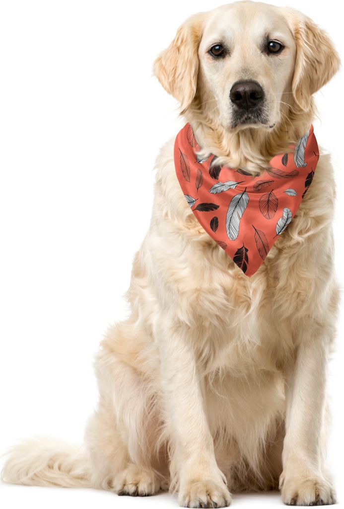 ABAKUHAUS Retro Haustier Bandana, Bohemian Hand gezeichnete Federn, 40x40 cm, Salmon Koksgraue