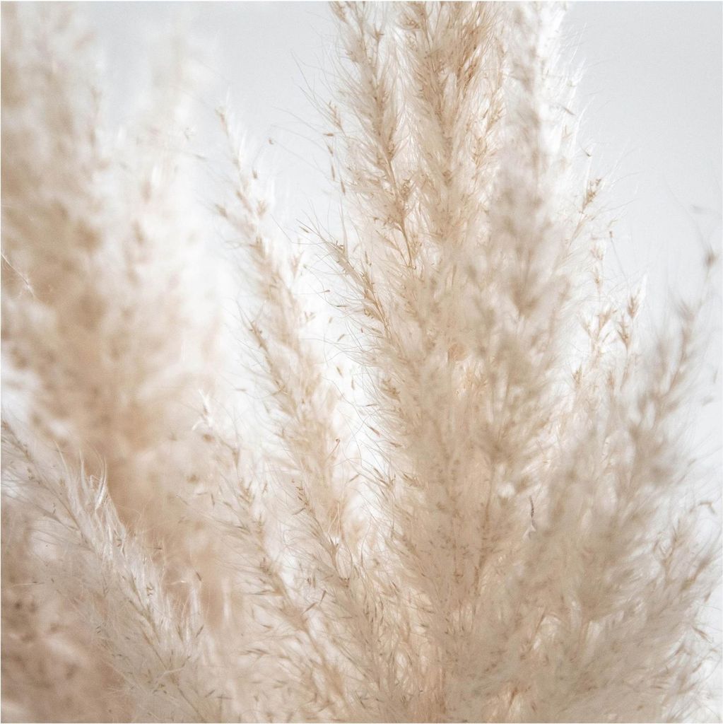 Fototapete Blumen - Vliestapete - Bildtapete UV-beständig Gräser beige Landhaus Wandtapete geruchsfrei