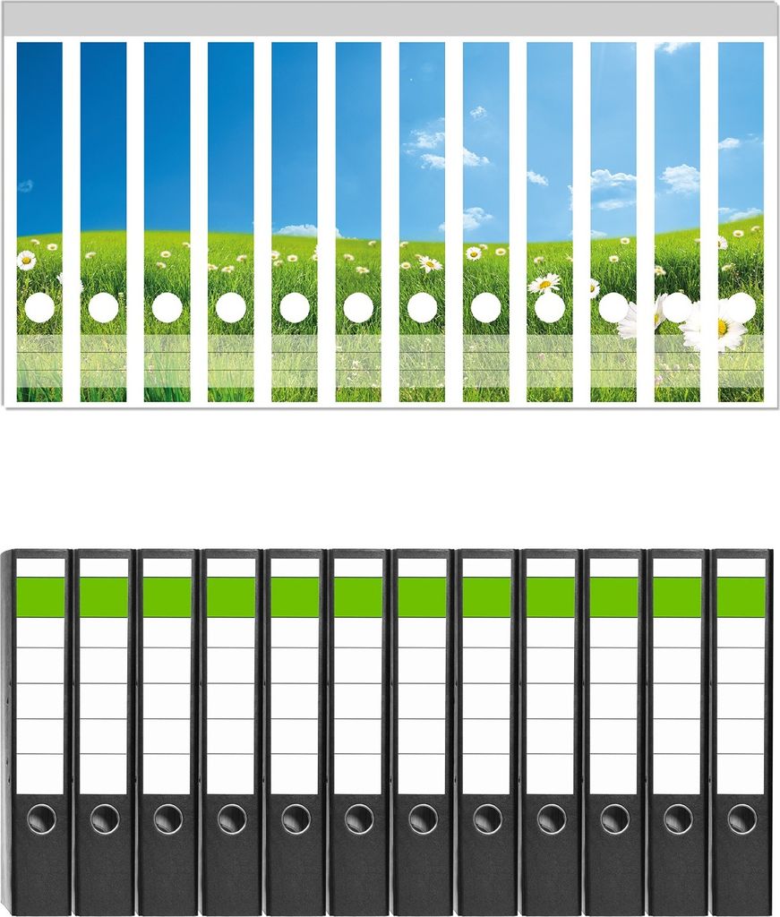 Wallario 12 Stück schmale Ordner inkl. Klebeetiketten mit Motive Sommerwiese - Weiße Gänseblümchen vor blauem Himmel - Set mit Rückenschilder...