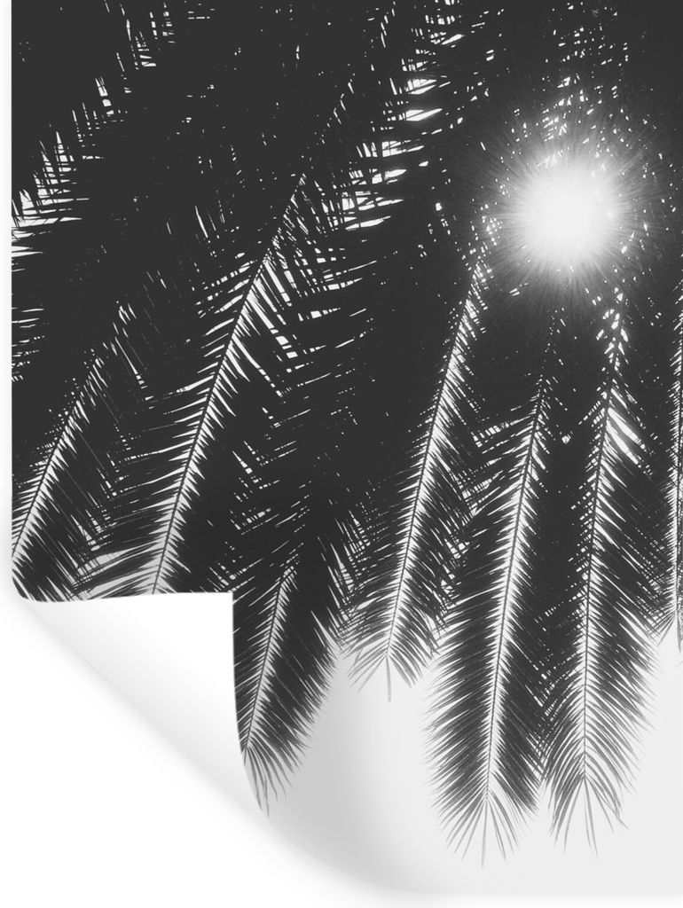 MuchoWow Wandtattoo Wandsticker Wandaufkleber Palmenblätter - Tropisch - Sonne - Palme 120x160 cm Selbstklebend und Repositionierbar - Wierderve...