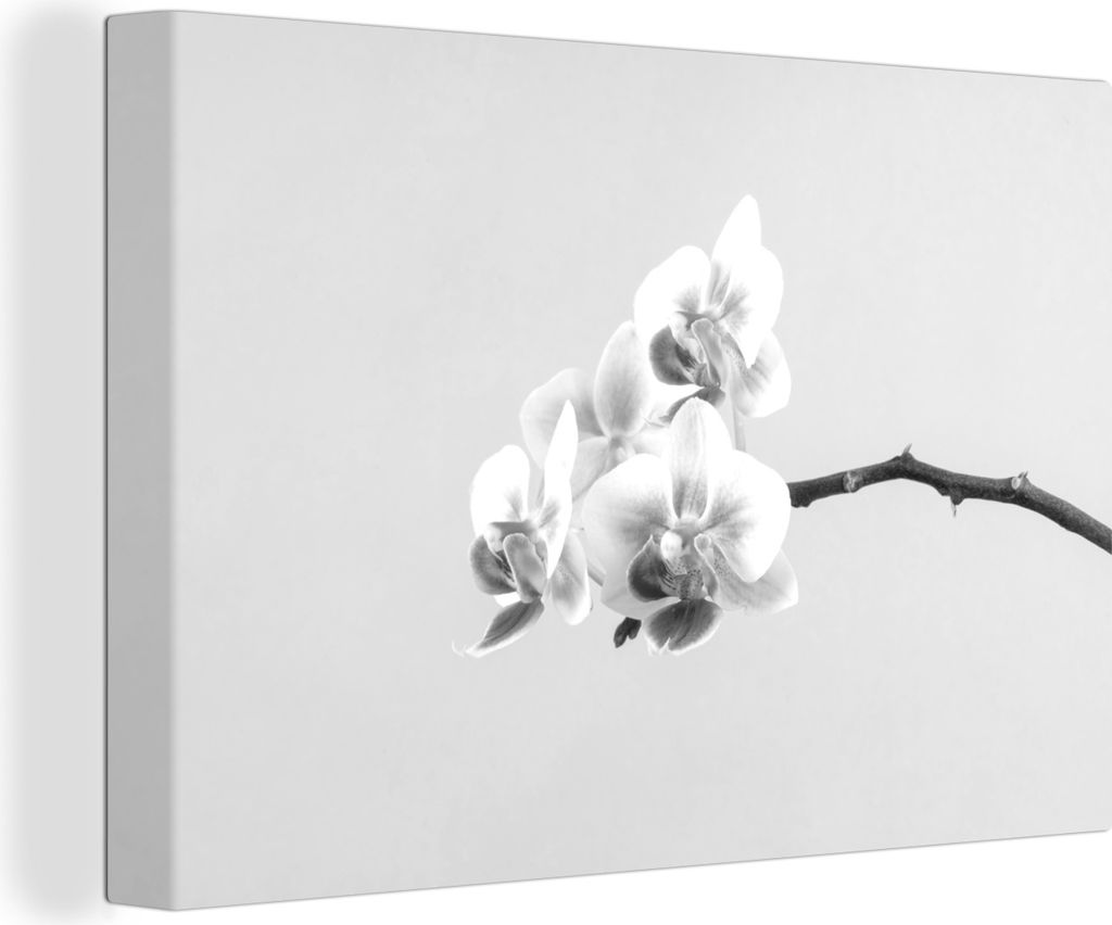 OneMillionCanvasses - Leinwandbilder - 150x100 cm, Orchideen auf einem Zweig - schwarz und weiß, Wandbilder Kunstdruck Wanddekoration
