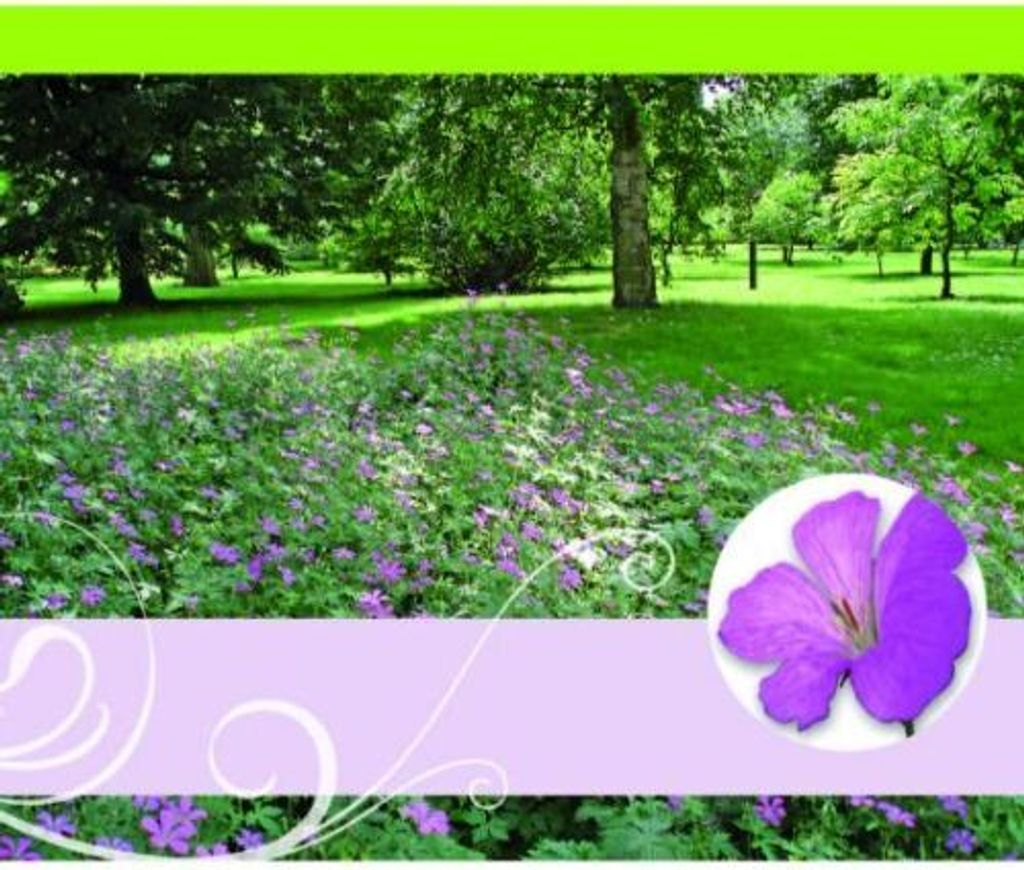 Ohne Text – Minikarte– 9 x 7,8 cm – mit Briefumschlag – Blumenwiese