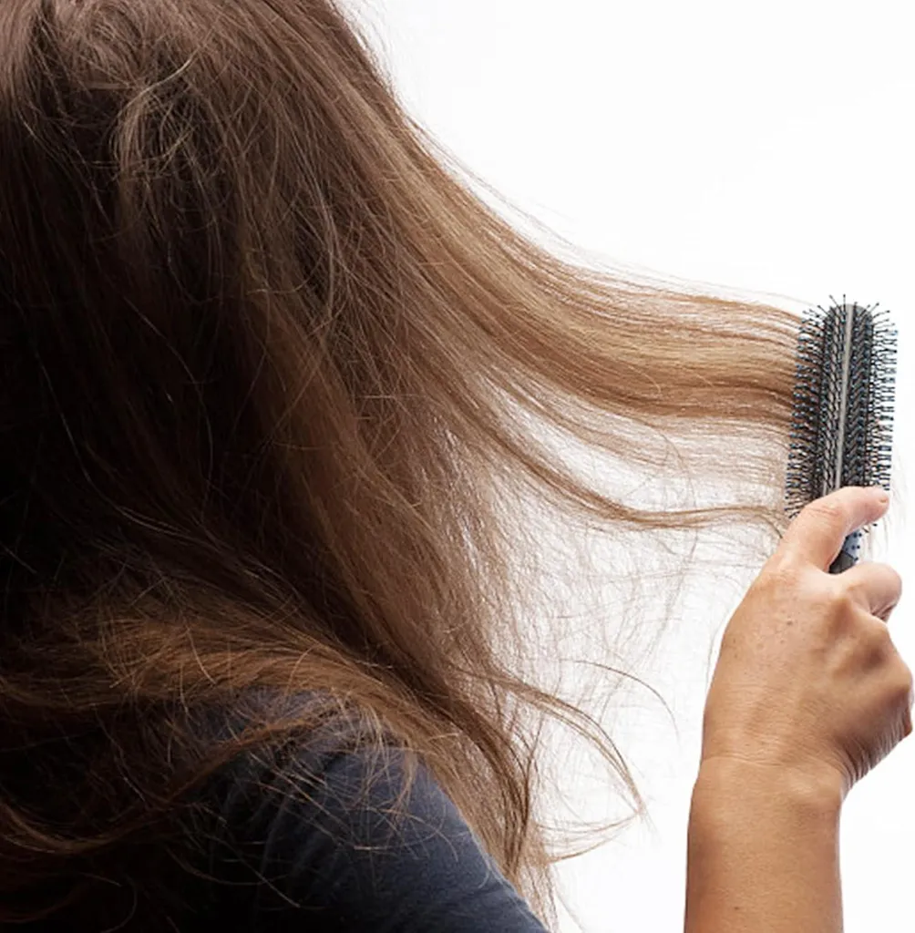 Spazzola Professionale per Barba e Capelli Uomo - 21cm Nylon - 6