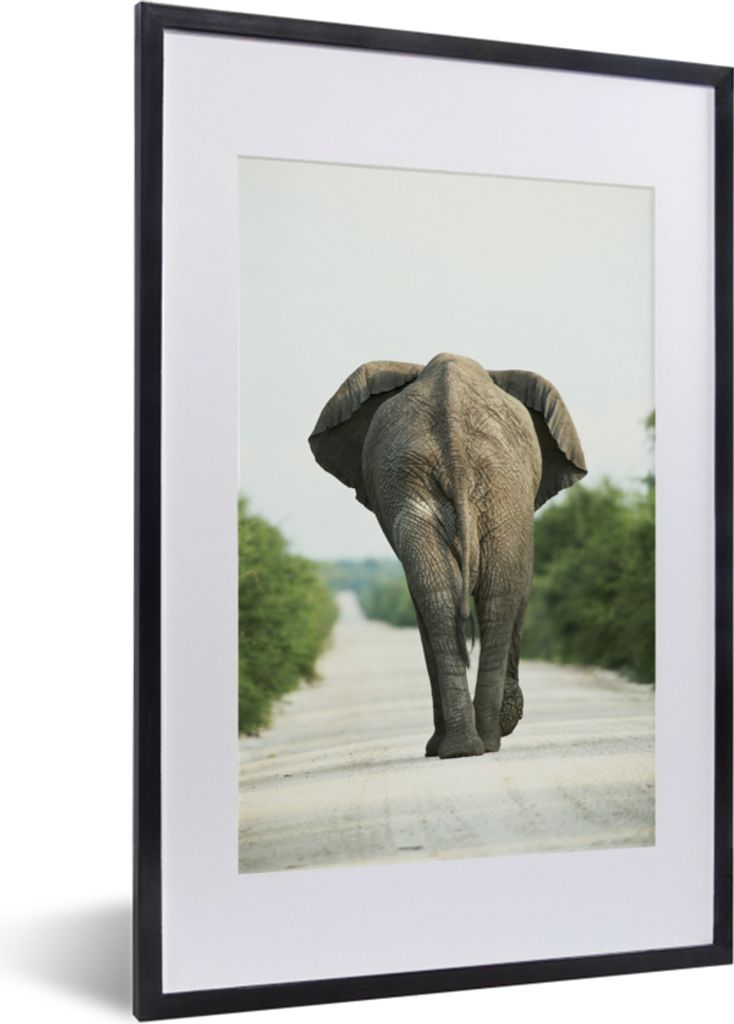 MuchoWow MuchoWow Gerahmtes Poster Elefant - Kröte - Tiere - Natur 40x60 cm - Poster mit zchwarzem Bilderrahmen - Poster in Rahmen