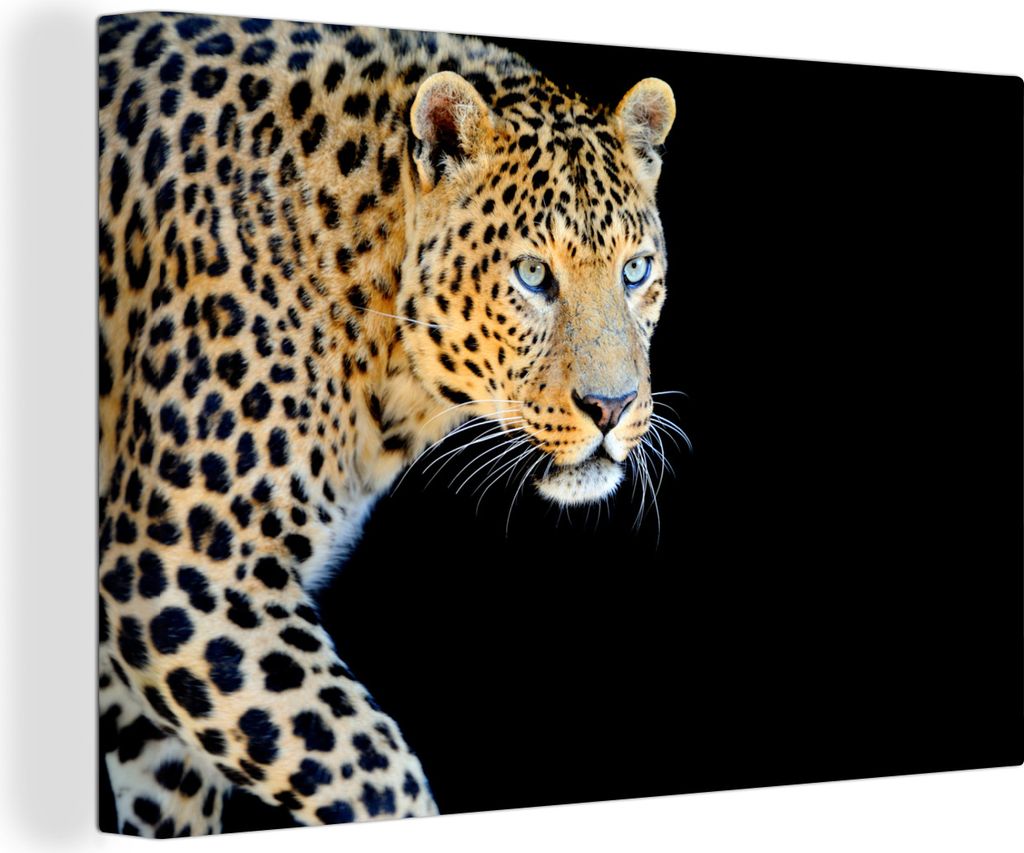 OneMillionCanvasses - Leinwandbilder - 150x100 cm, Panther - Jagd - Schwarz, Wandbilder Kunstdruck Wanddekoration