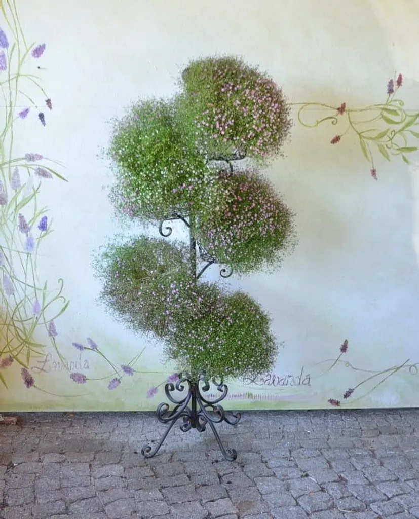Porte-plante métal 5 niveaux - Support fleurs stable et robuste - 4