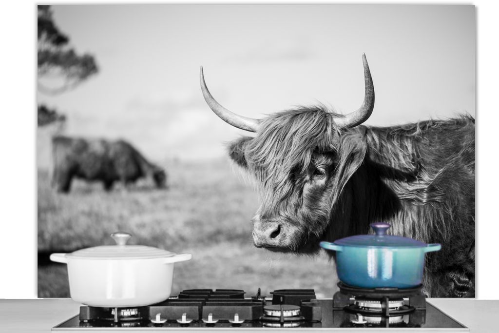 KitchenYeah Spritzschutz Küche - Küchenrückwand - Wandschutz für Herd und Spüle - Schottisches Hochlandrind - Tiere - Schwarz - Weiß 120x8...