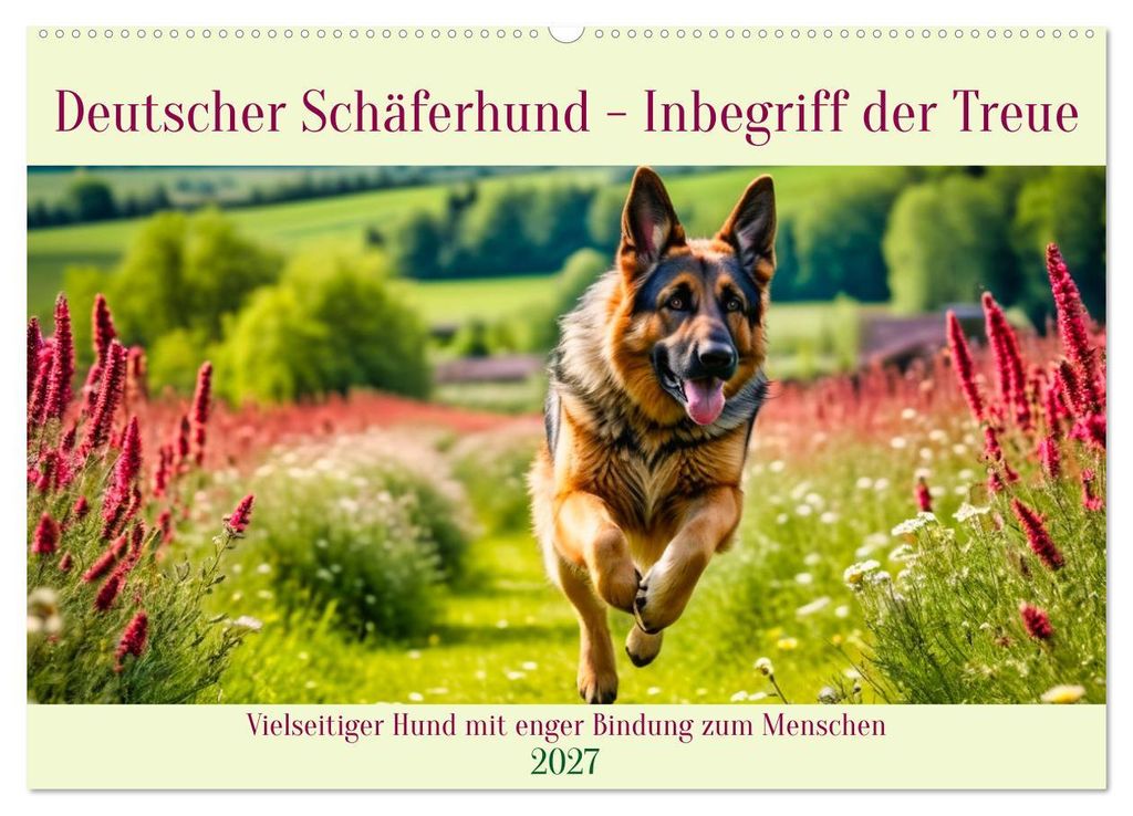 Deutscher Schäferhund - Inbegriff der Treue (Wandkalender 2027 DIN A2 quer), CALVENDO Monatskalender