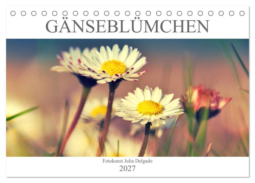 Gänseblümchen Poesie (Tischkalender 2027 DIN A5 quer), CALVENDO Monatskalender
