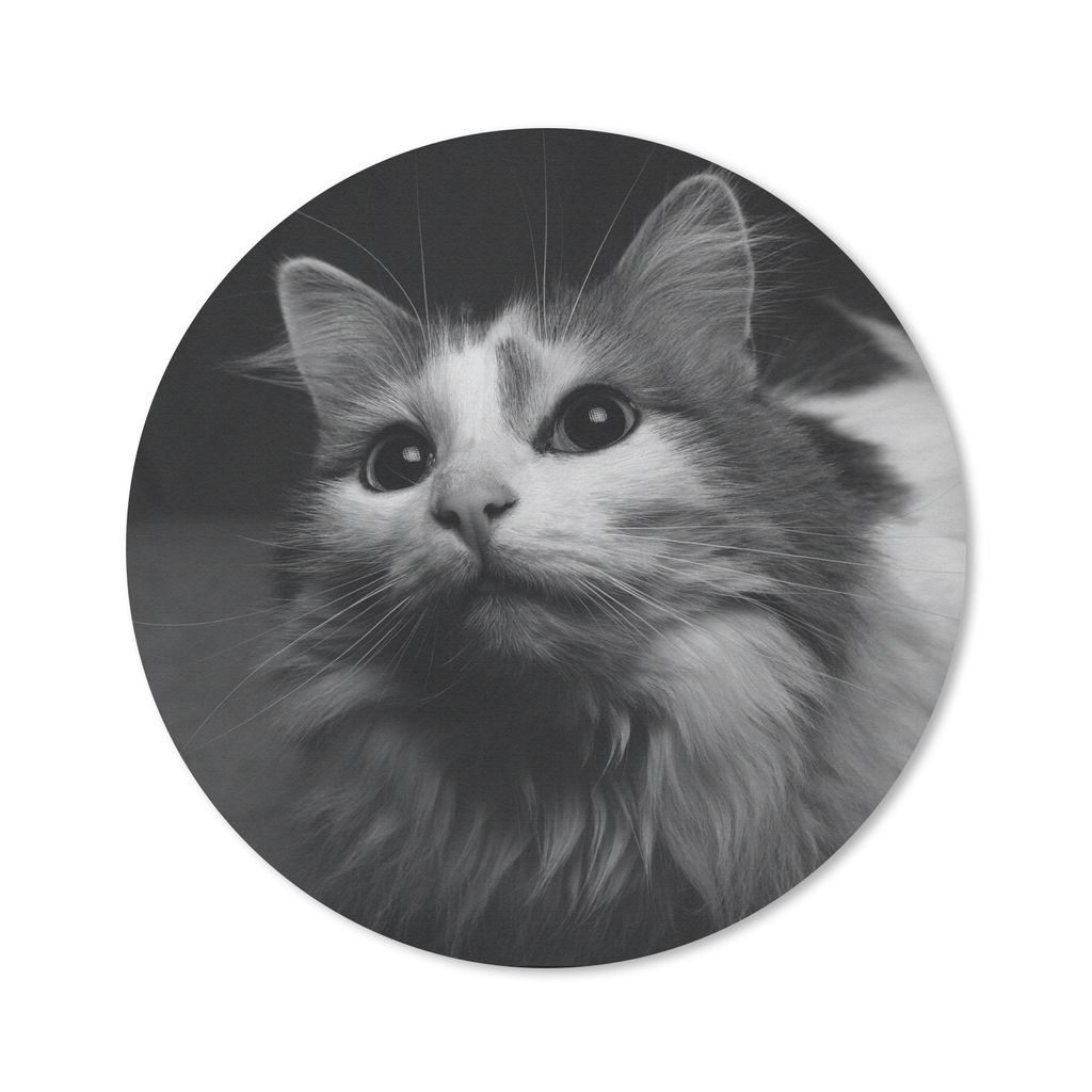 MuchoWow Mauspad Mousepad Tierprofil Katze in schwarz und weiß 40x40 cm - Mousepads - Maus Mat - Pad - Mausunterlage - Schreibtisch Accessoires