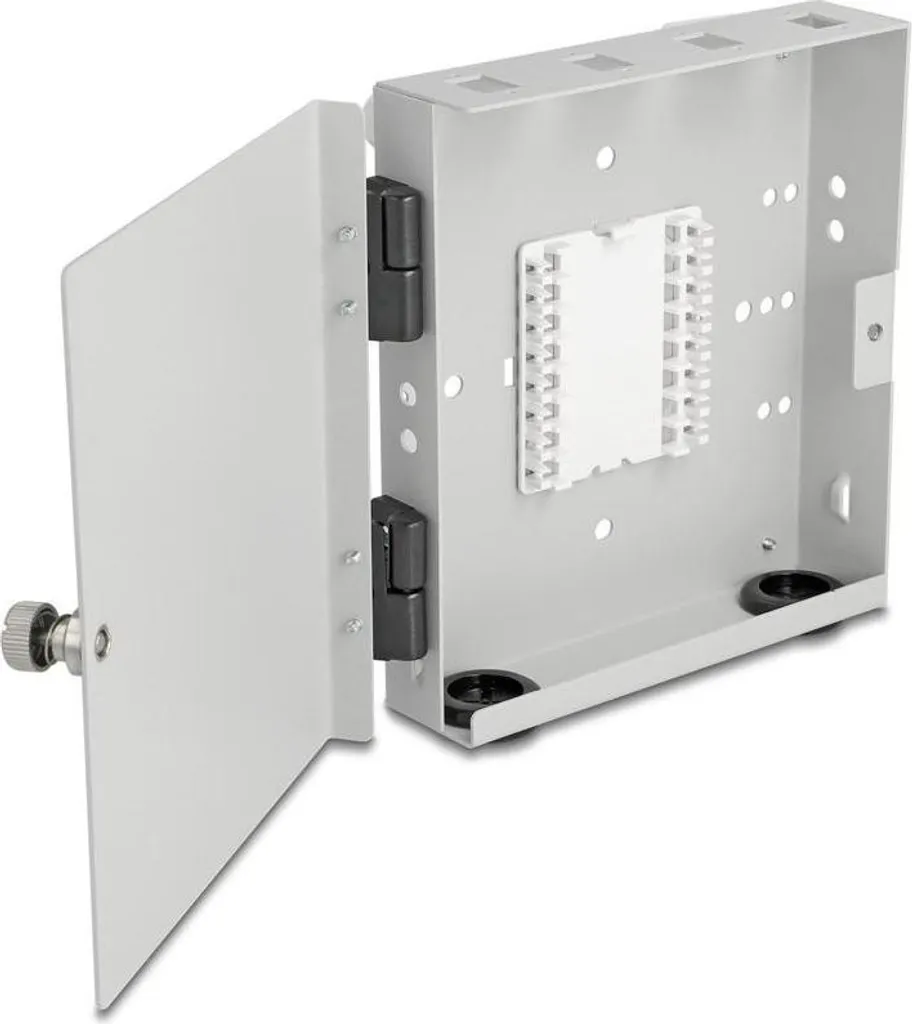 Delock Boîtier Mural LWL pour 4 Adaptateurs SC Simplex ou LC Duplex