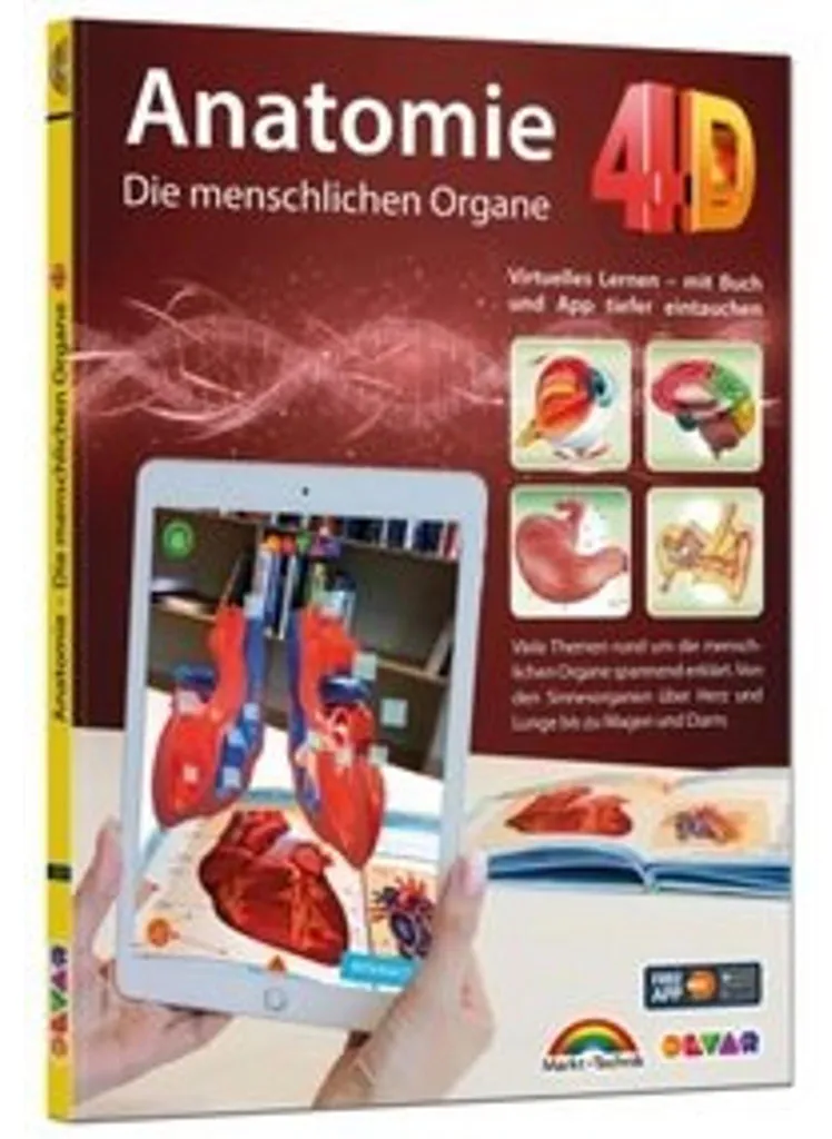 Maquette Anatomie 4D : Organes humains avec APP pour cours de SVT