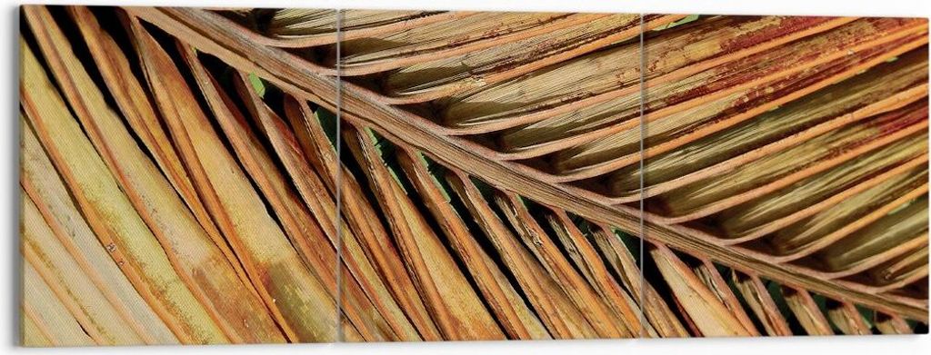 Bild auf Leinwand - Leinwandbild - 3 Teile - Orange Blatt Tropisch - 150x50cm - Wand Bild - Wanddeko - Wandbilder - Leinwanddruck - Bilder - Wandde...