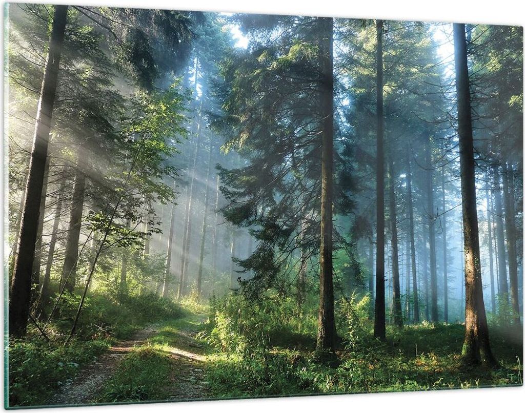 Bilder auf glas - Einteilig - Wald Dämmerung die Sonne - 120x80cm - Glasbilder - Wandbilder - Bilder - zum Aufhängen bereit - Wanddekoration aus ...