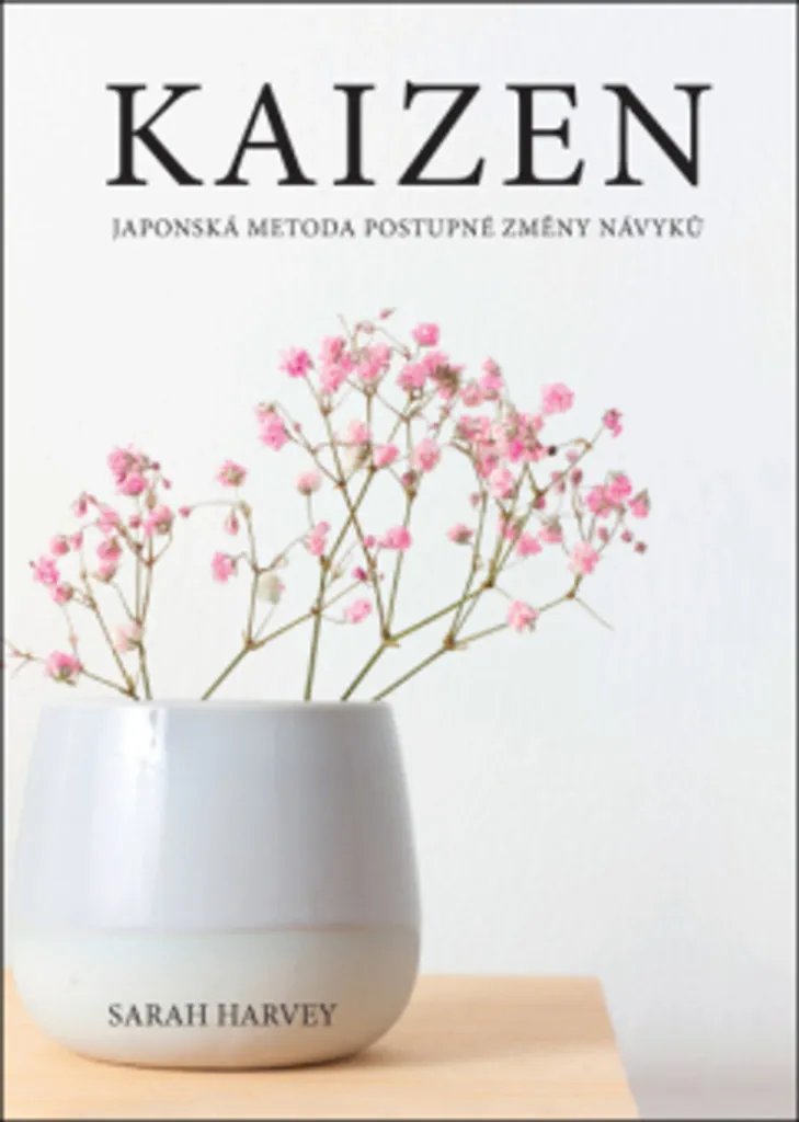 Kaizen Sarah Harvey : comment vaincre la procrastination simplement