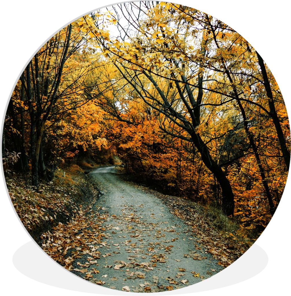 MuchoWow Rundes Wandbild - Runde Bilder Blätter - Herbst - Wald Ø 90 cm Kreis Wanddekoration Kunststoff - Wandkreis - Wandschmuck - Wand-Kreis ...