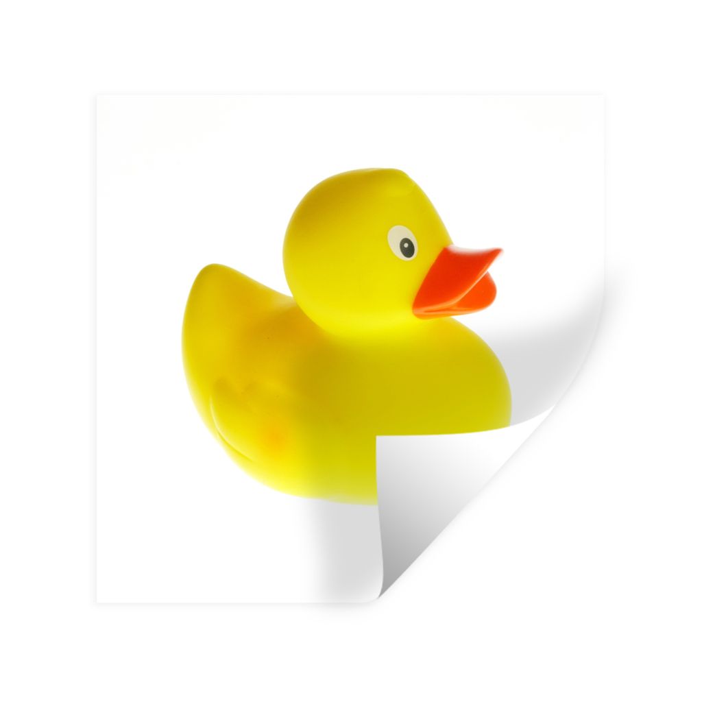MuchoWow Wandtattoo Wandsticker Wandaufkleber Bade-Ente auf weißem Hintergrund 100x100 cm Selbstklebend und Repositionierbar - Wierderverwendbar...
