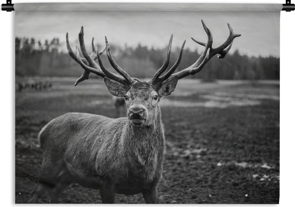 MuchoWow Wandteppich Wandbehang Tiere - Hirsch - Geweih - Schwarz und weiß - Natur 90x67.5 cm Tapisserie Dekoration Wandtuch - Fototeppich - Wan...