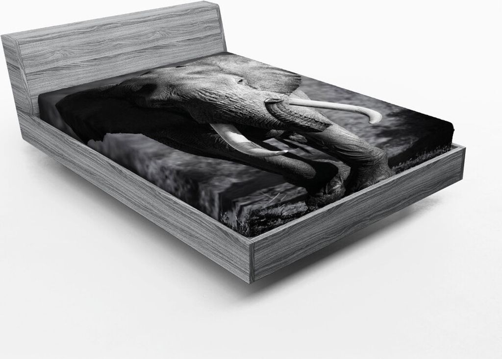 ABAKUHAUS Elefant Spannbetttuch, Majestätische Elefant Stier Nähert Foto Exotischen Wilden Lebensraum Säugetier Kunstdruck, 90 x 200 cm, Grau