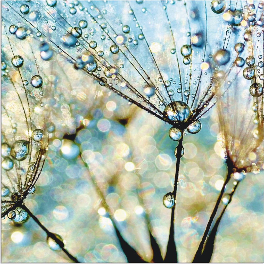 ARTland Wandbild Alu für Innen & Outdoor Pusteblume Blaue Diamanten Größe: 40x40 cm