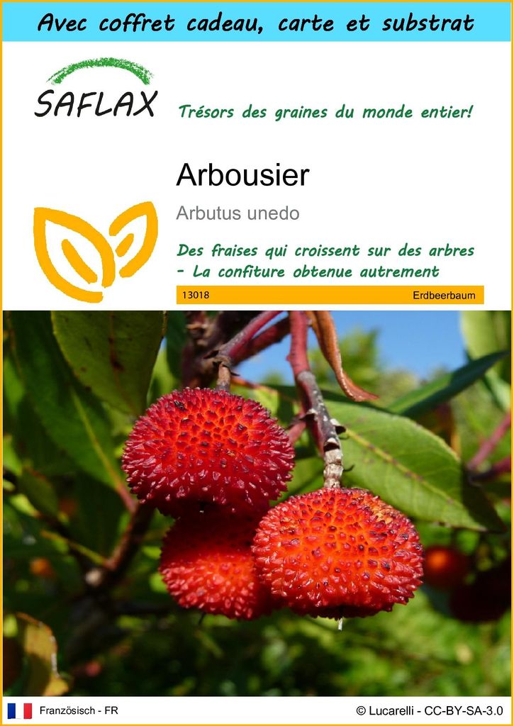 SAFLAX Ensemble-cadeau - Arbousier - 50 graines - Arbutus Image du produit 
