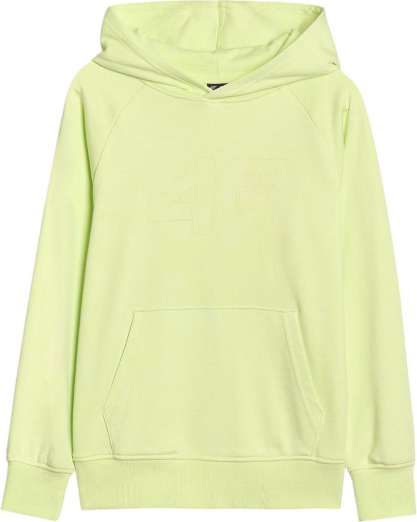 Sweatshirts 4F B24820
