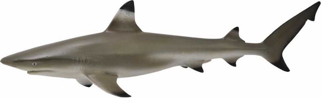 Collecta 88726 Requin de récif à pointes noires 11 cm Image du produit 