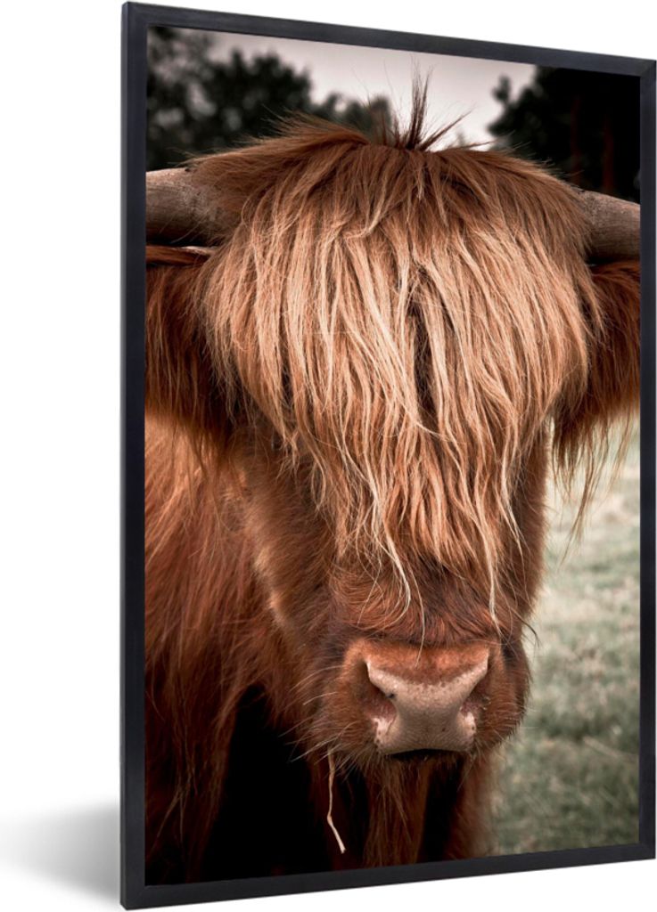 MuchoWow Gerahmtes Poster Schottischer Highlander - Baum - Gras 40x60 cm - Poster mit Schwarzem Bilderrahmen Wandposter Rahmen Foto Bilder - Papi...