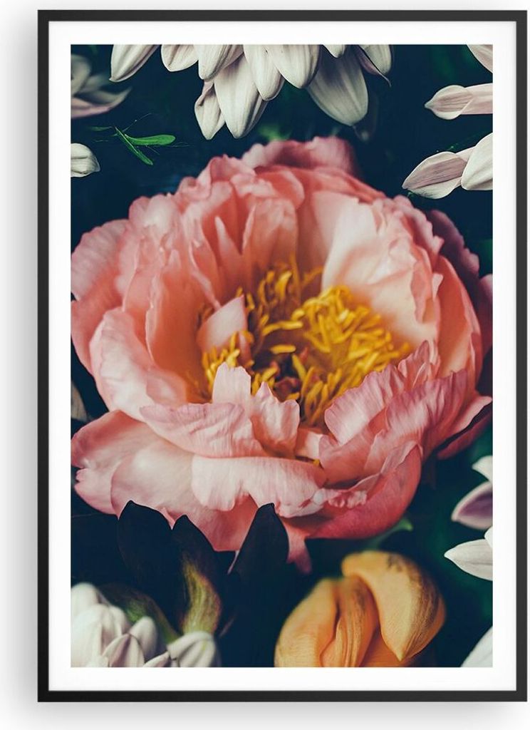 Gerahmtes Poster - Schwarzer Rahmen - Blumen Pfingstrose Holzig - 70x100 cm - Wand Bild - Wanddeko - Wandbilder - Kunstposter - Wandposter - Bilder...