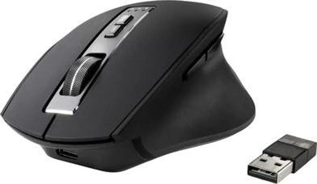 Renkforce RF-WM-300 Souris ergonomique sans fil Bluetooth noir gris