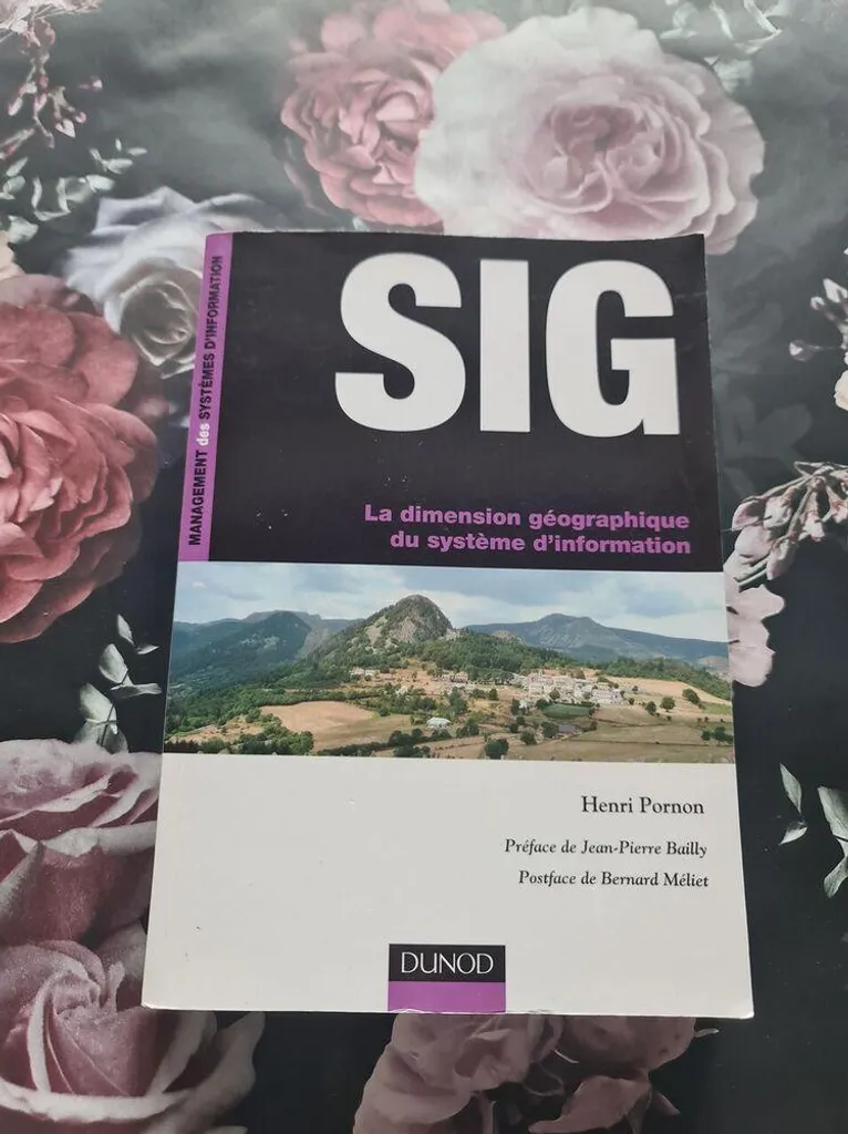 Livre SIG et Système d'Information Géographique : Théorie et Pratiques