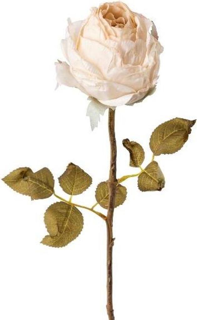 artplants.de Künstliche Rose ZONFER, Creme, 60cm - Kunstblume Rose