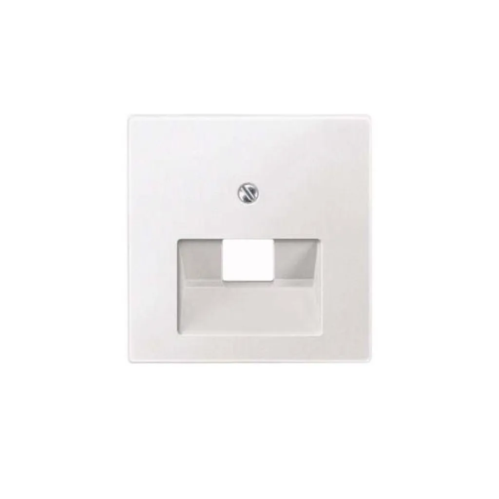Plaque de finition Merten pour prise internet simple Système M