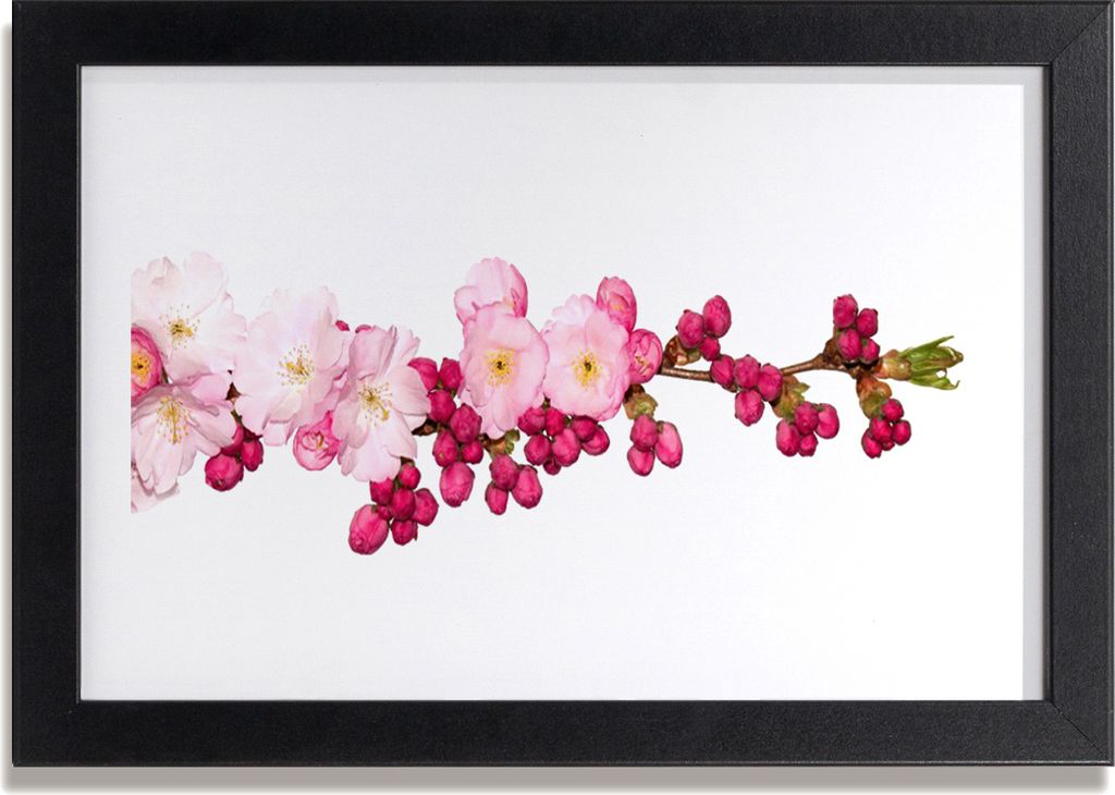 Bild 30x20 MDF-Rahmen Wandkunst Cherry Blossom Twig