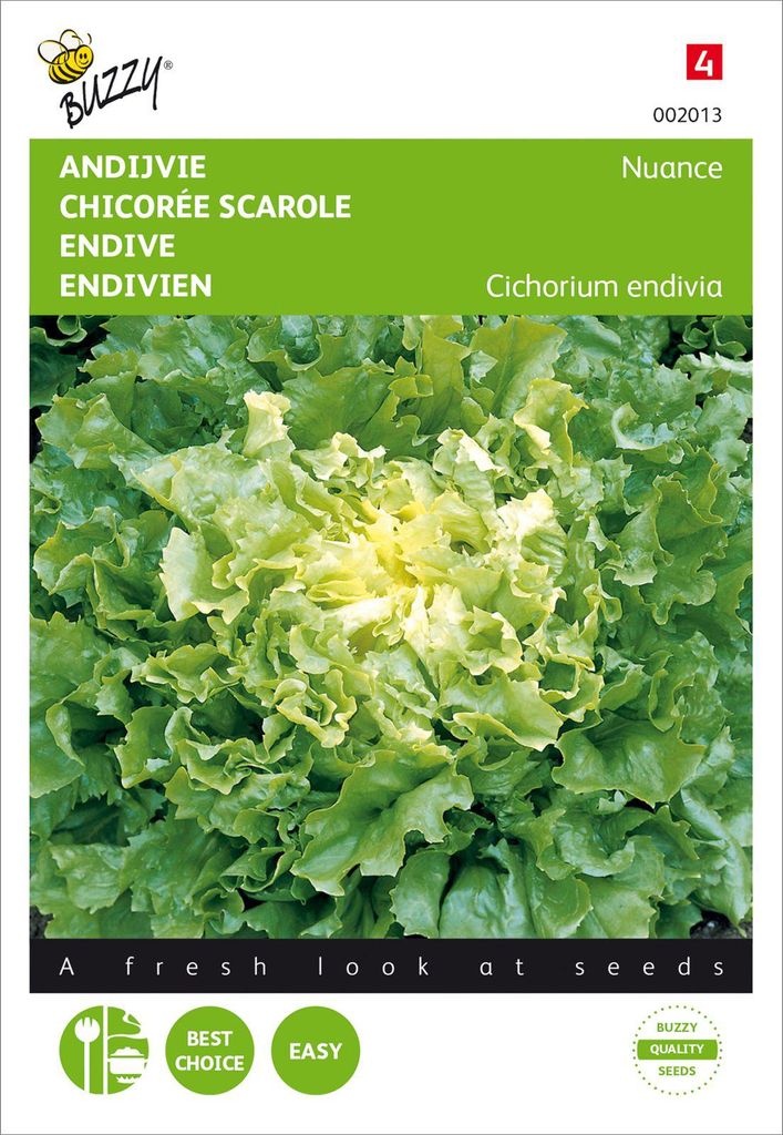 Sommerendivien Nuance | Endiviensalatsamen von Buzzy Seeds