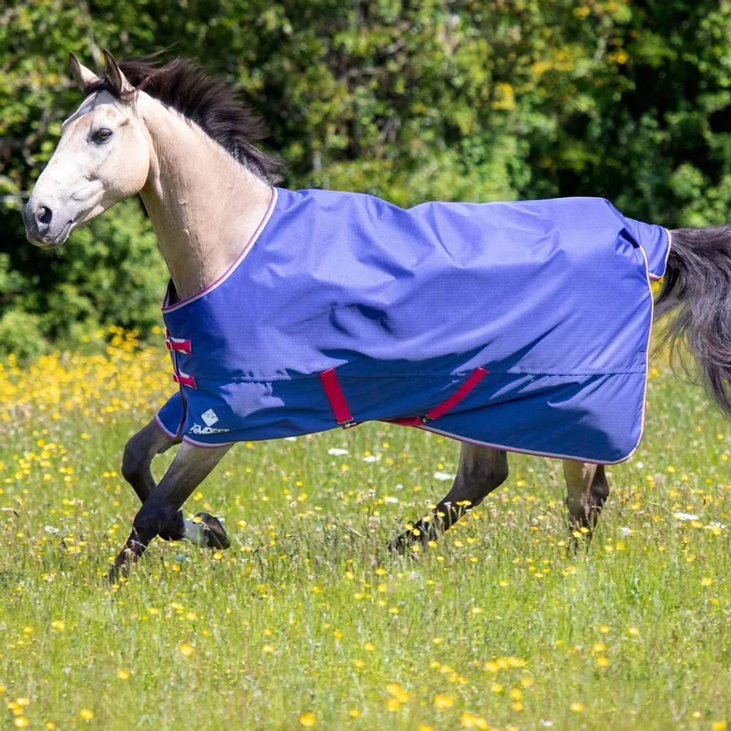 Couverture d'intersaison Tempest Air Motion ER380 pour cheval 175 cm