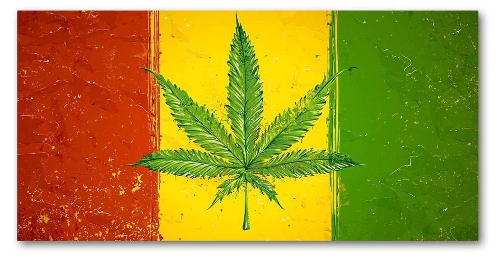 Tulup Küchenrückwand Spritzschutz aus Glas -100x50 -Spritzschutz auf gehärtetes GlasLandkarten & Flaggen Rasta Flagge
