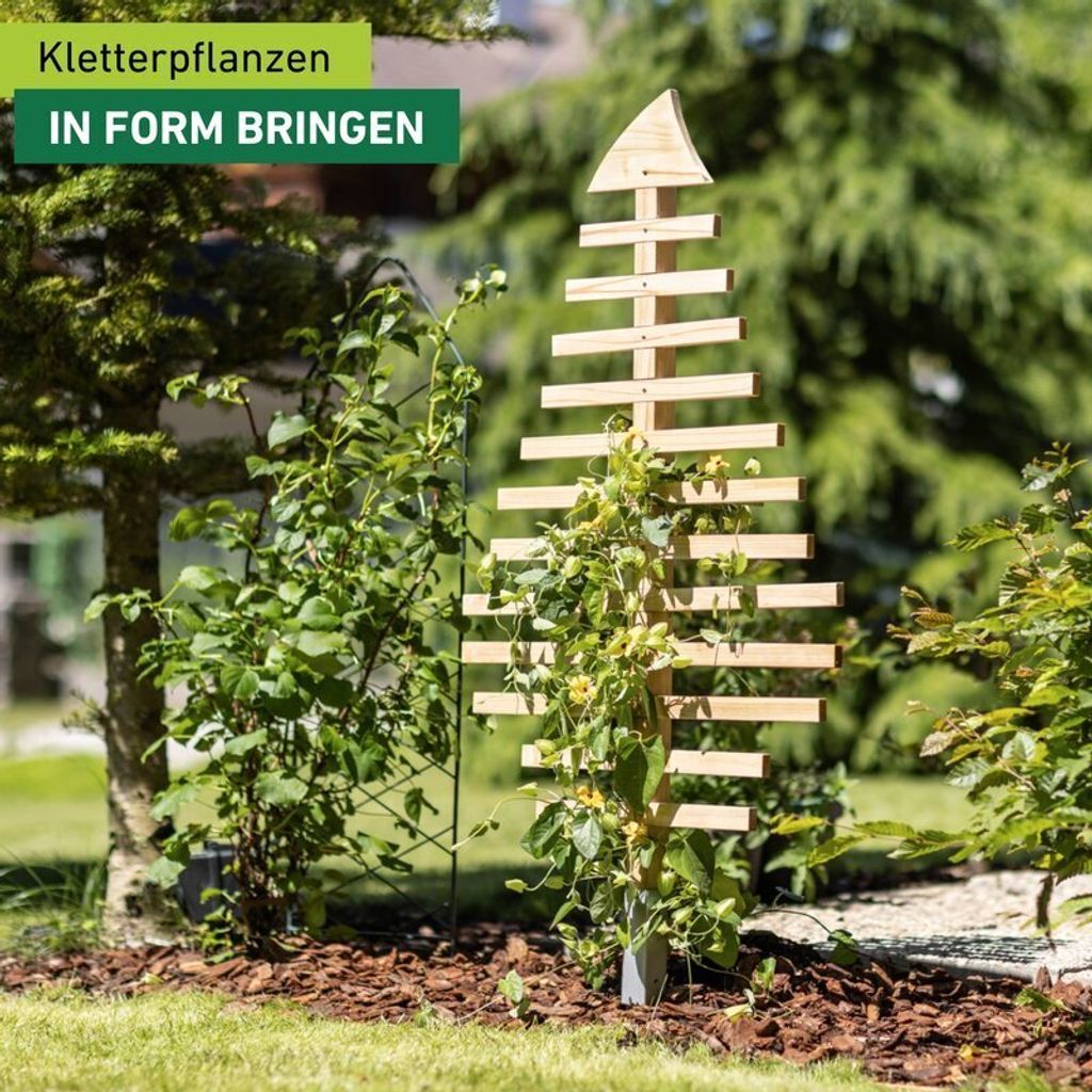 Rankspalier aus Holz, Blatt, 70x119cm Produktbild 1