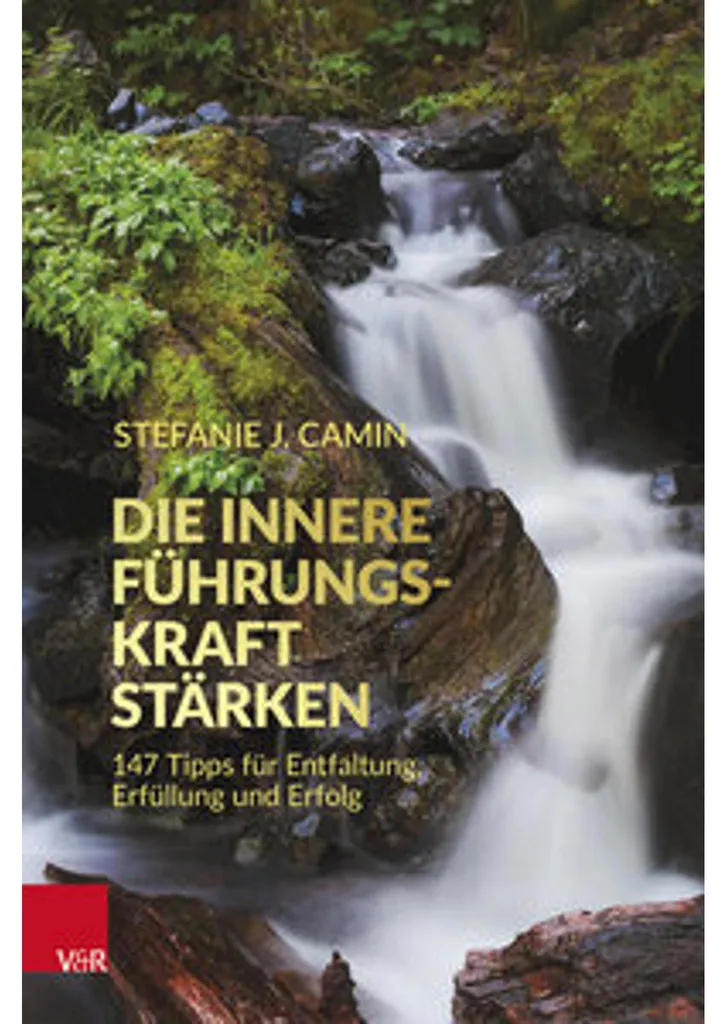 Leadership intérieur et force mentale : livre complet de coaching pro