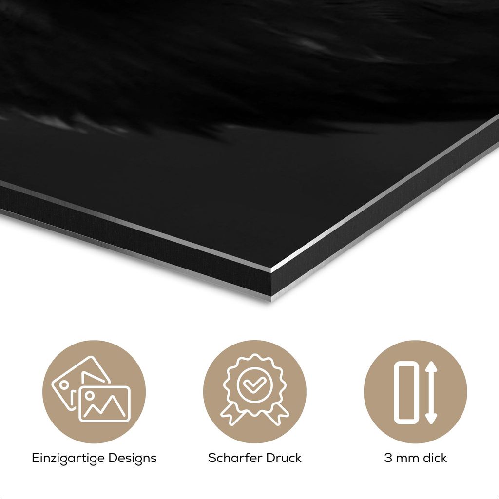 MuchoWow Wanddekoration Metall Metallbild Wandkunst 90x90 cm Bussard - Vogel - Tiere - Schwarz - Weiß MuchoWow Aluminium Gemälde - Dekoration - I...